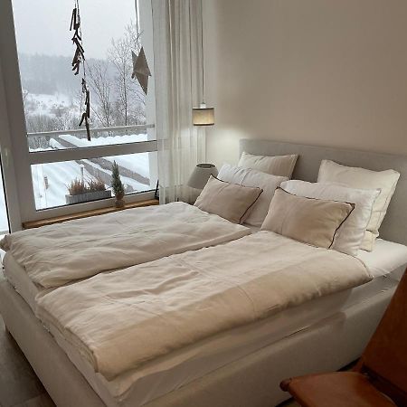 Hearth Hill View Apartment Ustroń Exteriör bild