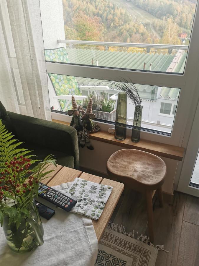 Hearth Hill View Apartment Ustroń Exteriör bild