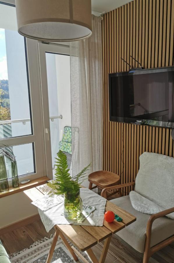 Hearth Hill View Apartment Ustroń Exteriör bild