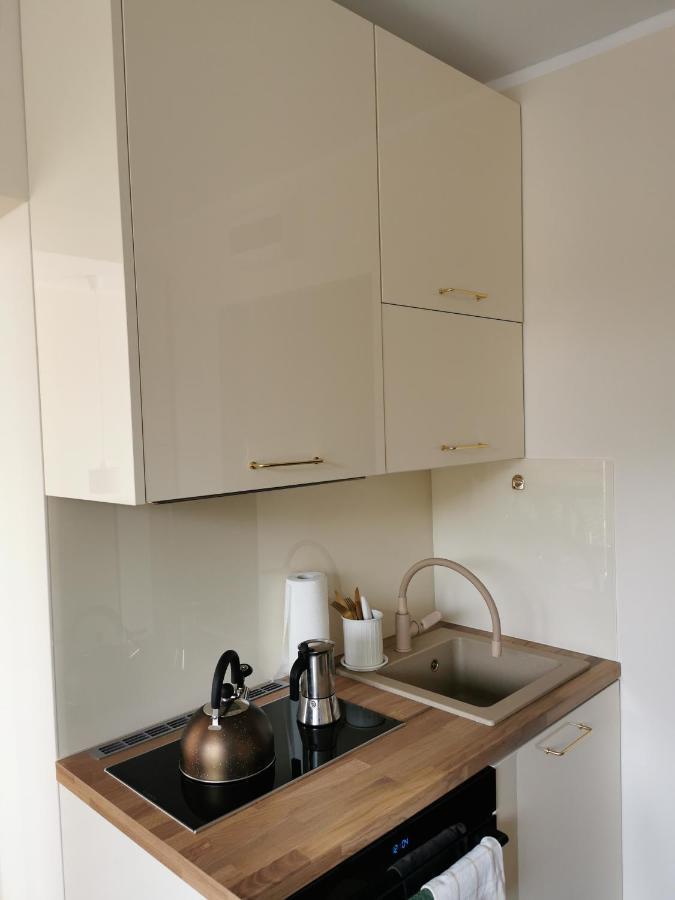 Hearth Hill View Apartment Ustroń Exteriör bild