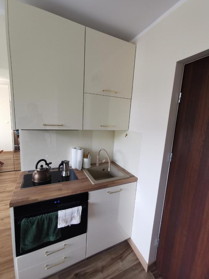 Hearth Hill View Apartment Ustroń Exteriör bild