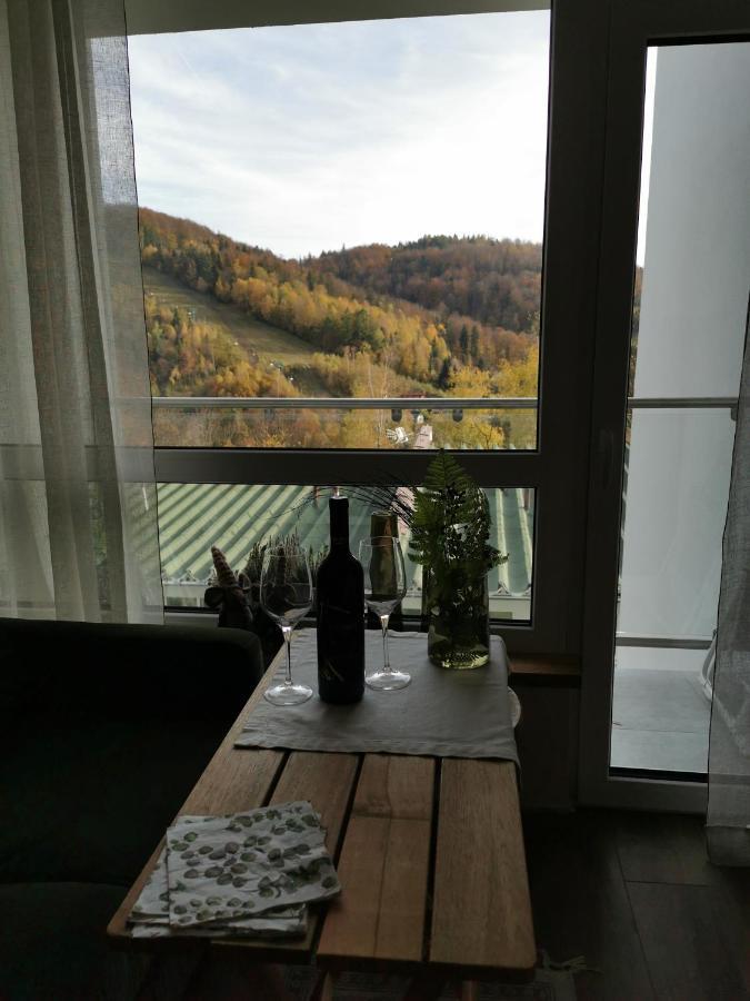 Hearth Hill View Apartment Ustroń Exteriör bild