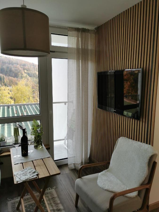 Hearth Hill View Apartment Ustroń Exteriör bild