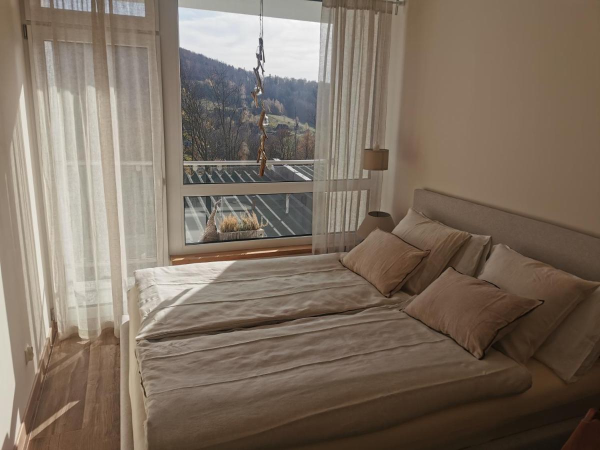 Hearth Hill View Apartment Ustroń Exteriör bild