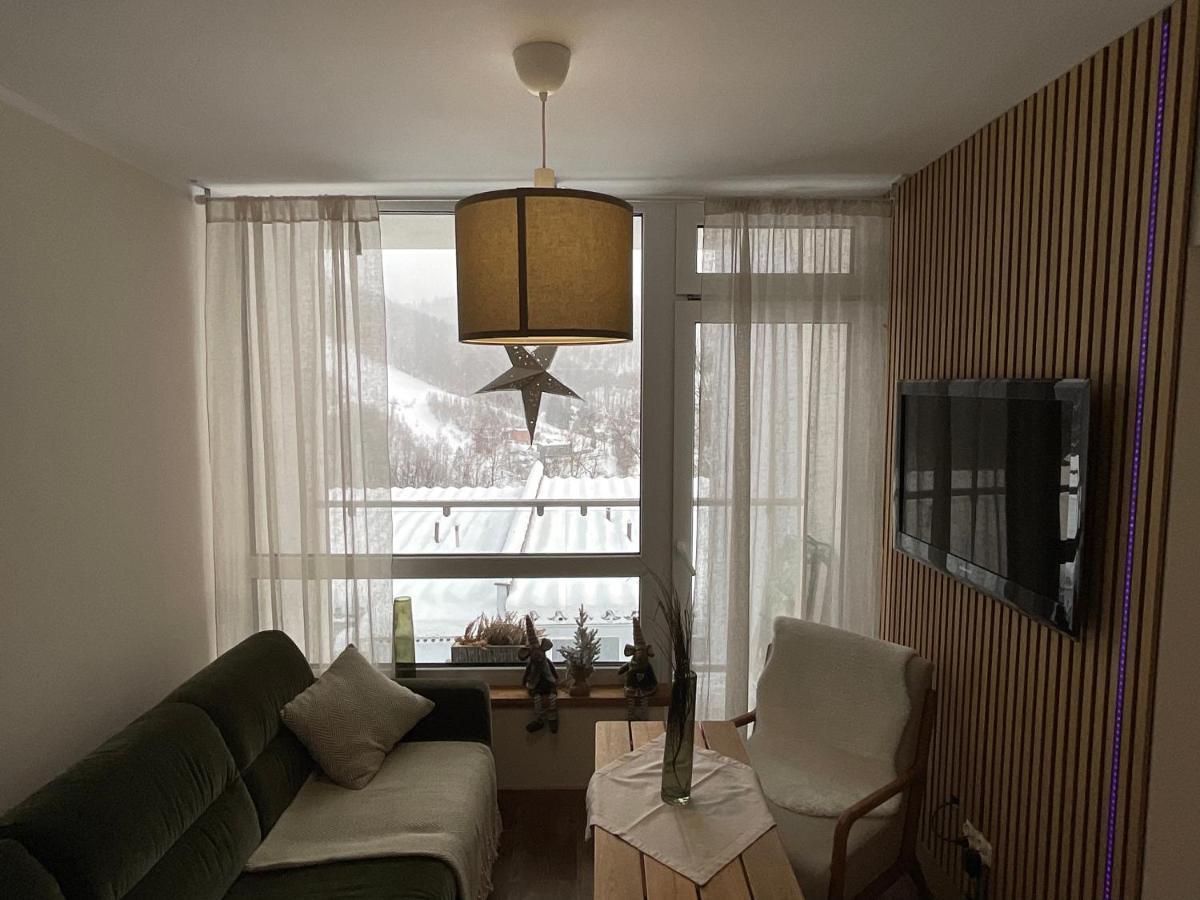 Hearth Hill View Apartment Ustroń Exteriör bild