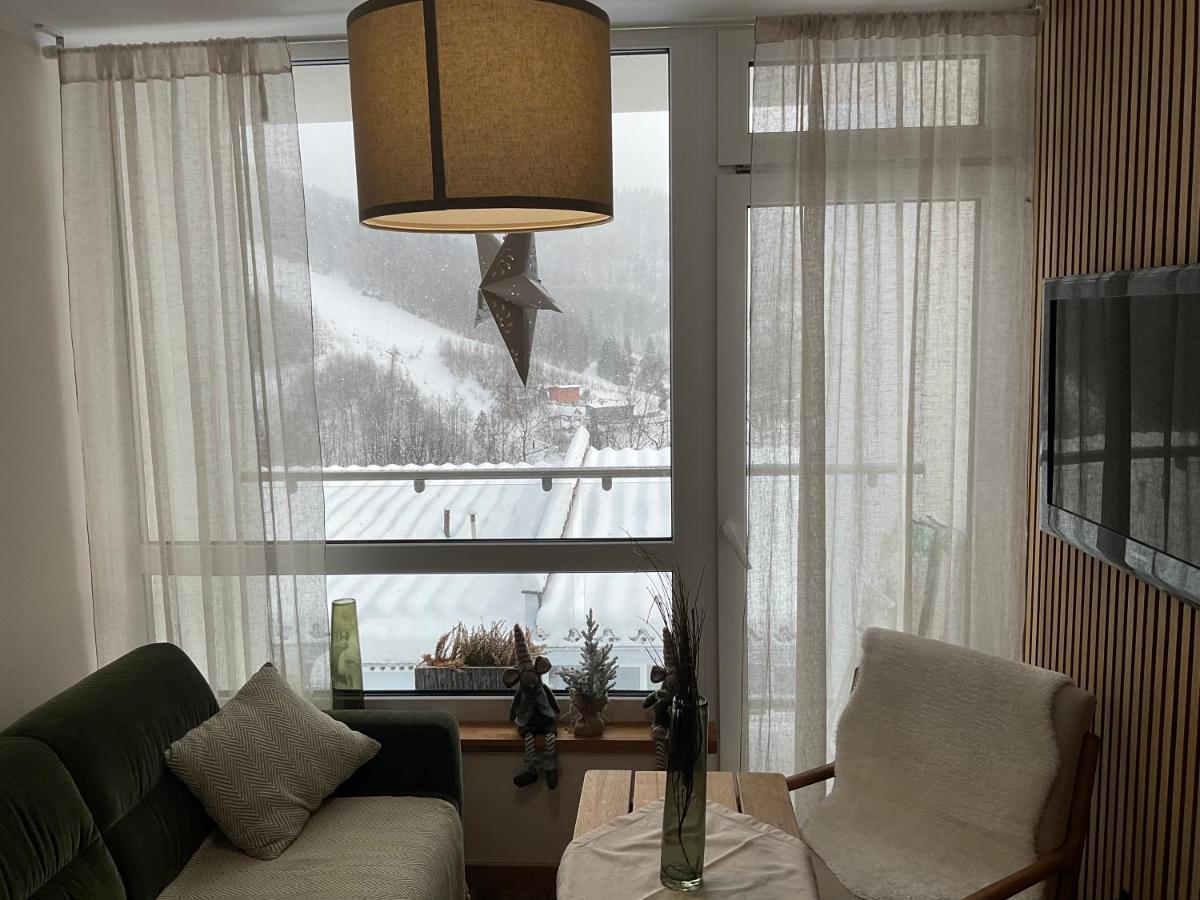 Hearth Hill View Apartment Ustroń Exteriör bild