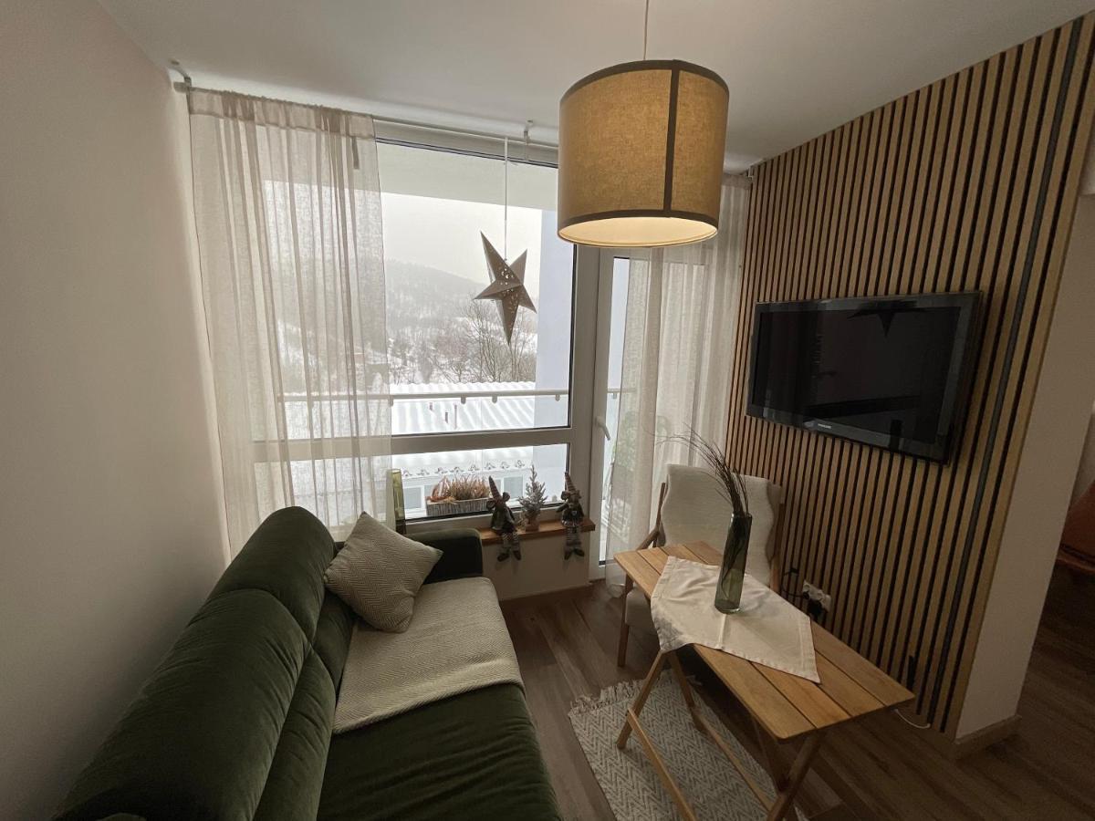 Hearth Hill View Apartment Ustroń Exteriör bild