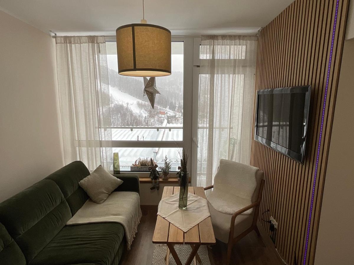 Hearth Hill View Apartment Ustroń Exteriör bild